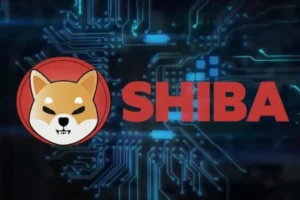 shiba inu