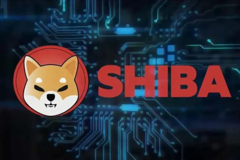 shiba inu