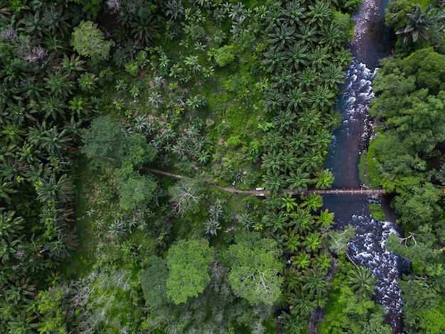 Aerial view of the Amazon rainforest, Brazil, showing the vast expanse of green canopy, winding rivers, and isolated indigenous communities.