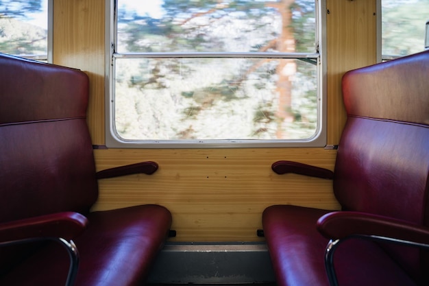 A close-up shot inside a train car, showing comfortable seating, large windows with scenic views, and a relaxed atmosphere.