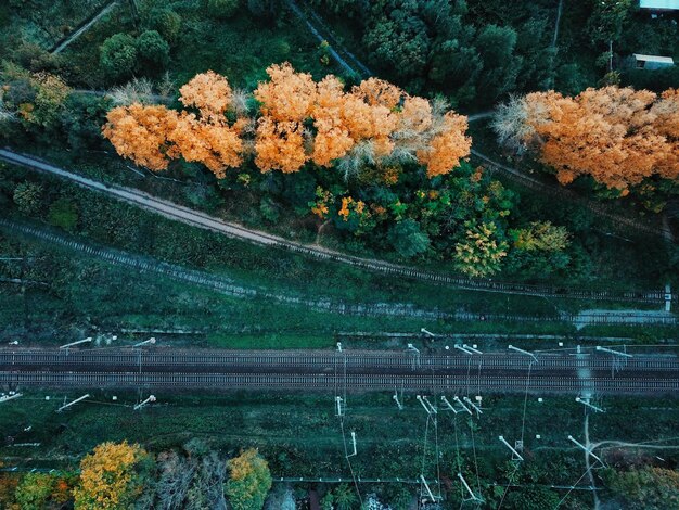 An aerial shot of a modern train passing through a rural landscape, highlighting the integration of the train with nature and sustainable travel.