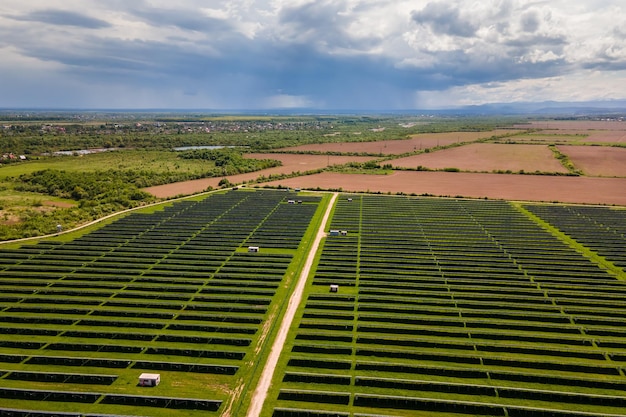 Energia Solar no Brasil: Incentivos e Crescimento do Mercado Renovável