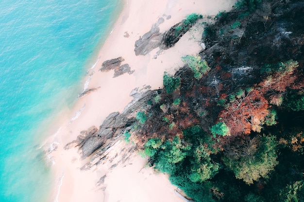 Turismo Sustentável no Brasil: Roteiros Ecológicos e Dicas de Viagem Consciente