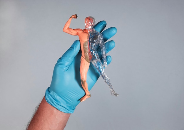 A medium shot of a medical professional holding a 3D printed anatomical model of a human heart, showcasing the intricate details of the organ's structure, against a backdrop of medical equipment and a hospital environment.